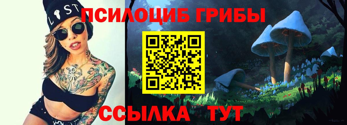 Псилоцибиновые грибы GOLDEN TEACHER  Вход с VPN  Галлюциногенные грибы мухоморы  Саянск 